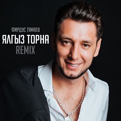 Фирдус Тямаев & Марат Мухин - Ялгыз торна (remix)